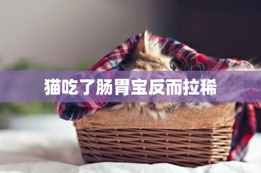 貓吃了腸胃寶反而拉稀