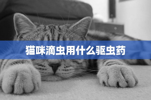 貓咪滴蟲用什么驅蟲藥