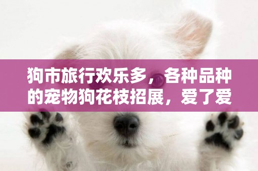 狗市旅行歡樂多，各種品種的寵物狗花枝招展，愛了愛了愛了 