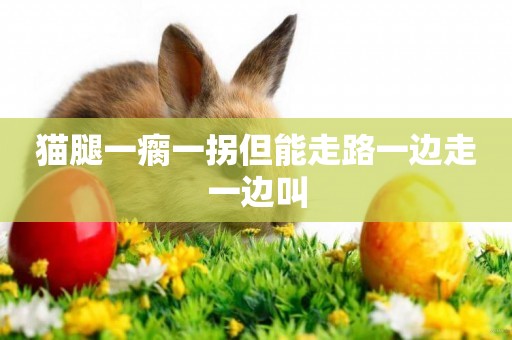 貓腿一瘸一拐但能走路一邊走一邊叫