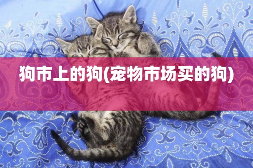 狗市上的狗(寵物市場買的狗) 