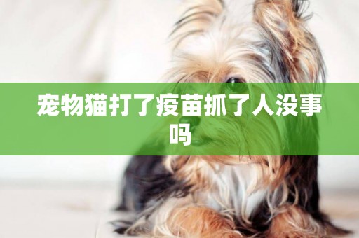 寵物貓打了疫苗抓了人沒事嗎