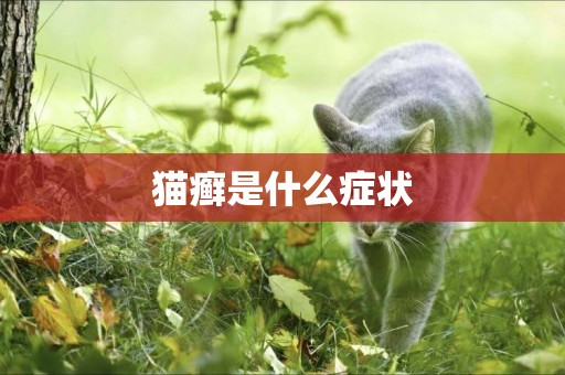貓癬是什么癥狀