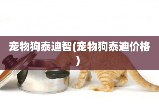 寵物狗泰迪智(寵物狗泰迪價格) 