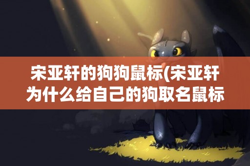 宋亞軒的狗狗鼠標(宋亞軒為什么給自己的狗取名鼠標) 