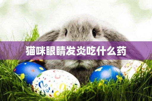 貓咪眼睛發炎吃什么藥