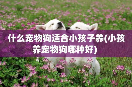 什么寵物狗適合小孩子養(小孩養寵物狗哪種好) 