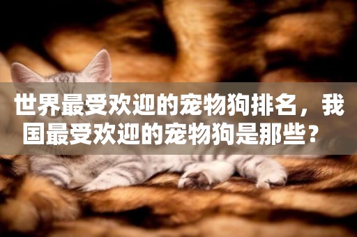 世界最受歡迎的寵物狗排名，我國最受歡迎的寵物狗是那些？ 