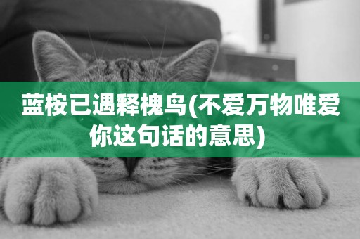 藍桉已遇釋槐鳥(不愛萬物唯愛你這句話的意思) 