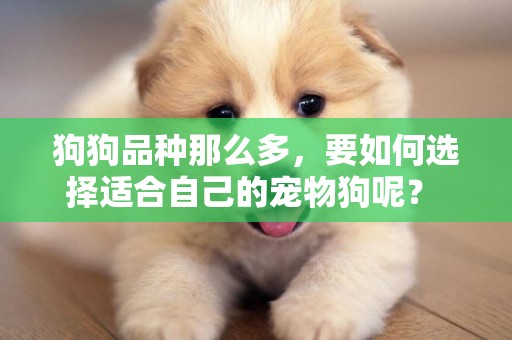 狗狗品種那么多，要如何選擇適合自己的寵物狗呢？ 