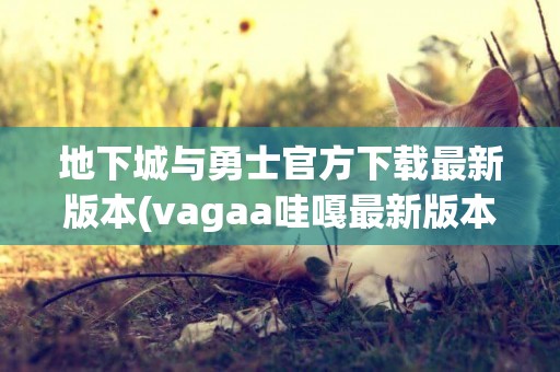 地下城與勇士官方下載最新版本(vagaa哇嘎最新版本2022) 