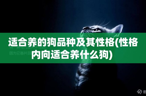 適合養的狗品種及其性格(性格內向適合養什么狗) 
