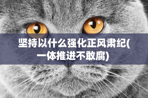 堅持以什么強化正風肅紀(一體推進不敢腐) 