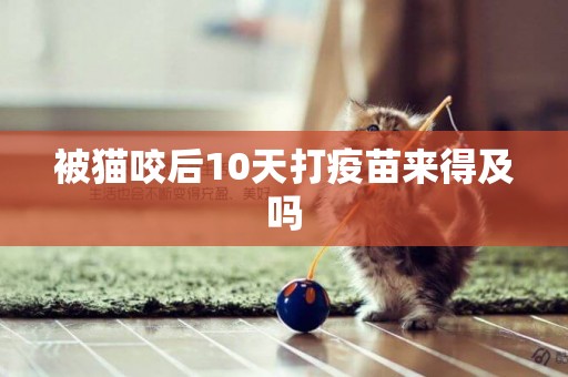 被貓咬后10天打疫苗來得及嗎