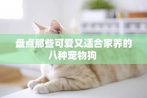 盤點那些可愛又適合家養的八種寵物狗 