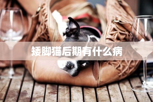 矮腳貓后期有什么病