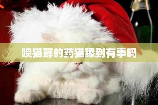 噴貓蘚的藥貓舔到有事嗎