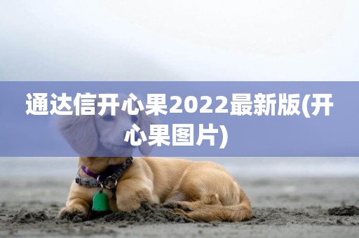 通達信開心果2022最新版(開心果圖片) 