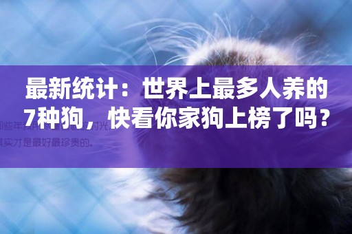 最新統計：世界上最多人養的7種狗，快看你家狗上榜了嗎？ 
