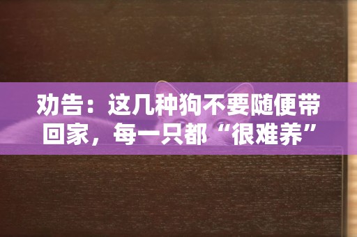 勸告：這幾種狗不要隨便帶回家，每一只都“很難養” 