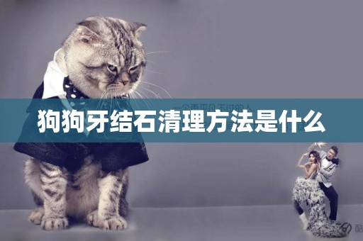 狗狗牙結石清理方法是什么