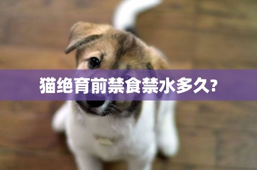 貓絕育前禁食禁水多久?
