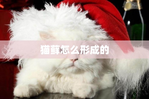 貓蘚怎么形成的