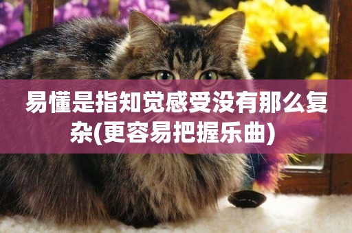 易懂是指知覺感受沒有那么復雜(更容易把握樂曲) 