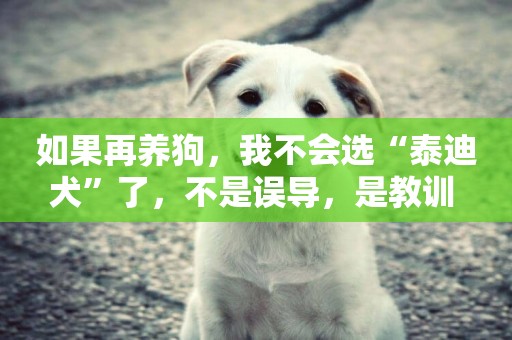 如果再養狗，我不會選“泰迪犬”了，不是誤導，是教訓 