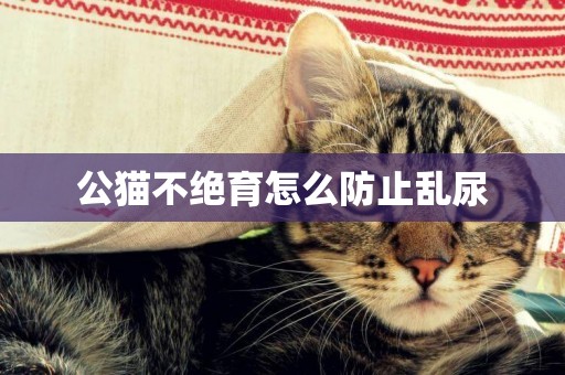 公貓不絕育怎么防止亂尿