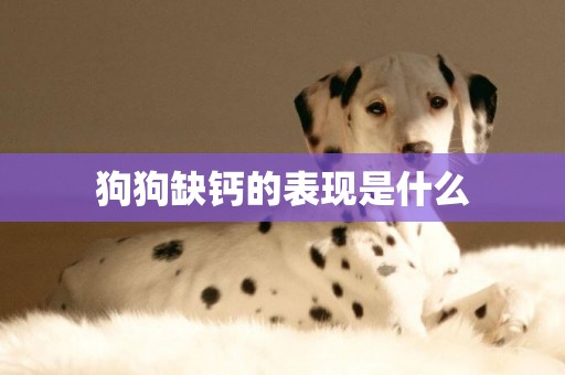 狗狗缺鈣的表現是什么