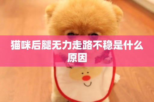 貓咪后腿無力走路不穩是什么原因