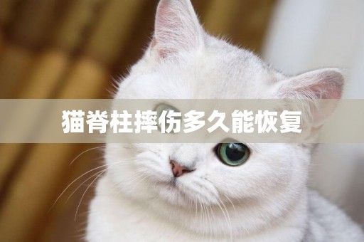 貓脊柱摔傷多久能恢復