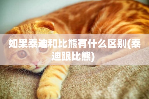 如果泰迪和比熊有什么區別(泰迪跟比熊) 