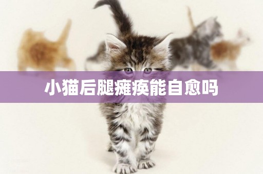 小貓后腿癱瘓能自愈嗎