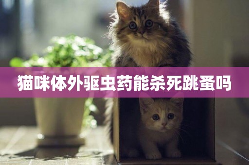 貓咪體外驅蟲藥能殺死跳蚤嗎