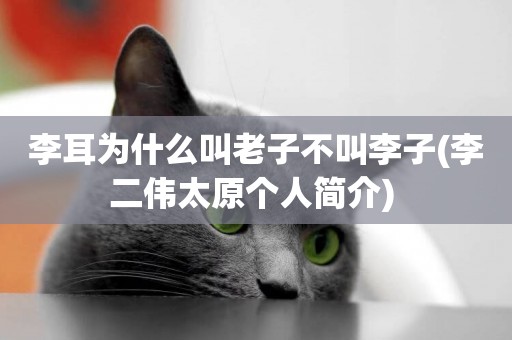 李耳為什么叫老子不叫李子(李二偉太原個人簡介) 