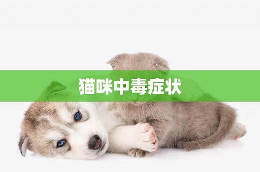 貓咪中毒癥狀