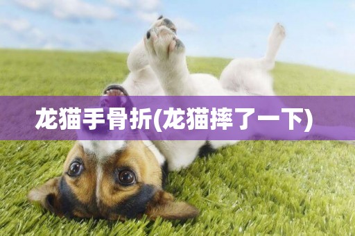 龍貓手骨折(龍貓摔了一下) 