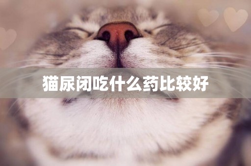貓尿閉吃什么藥比較好