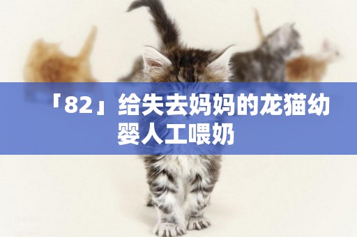 「82」給失去媽媽的龍貓幼嬰人工喂奶 