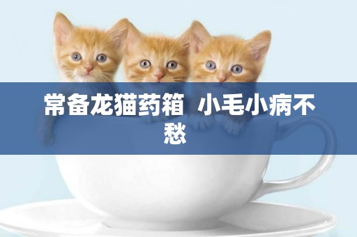 常備龍貓藥箱  小毛小病不愁 