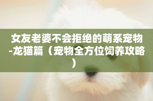 女友老婆不會拒絕的萌系寵物-龍貓篇（寵物全方位飼養攻略） 