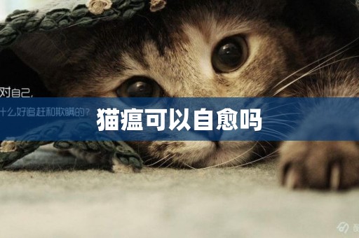 貓瘟可以自愈嗎