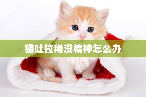 貓吐拉稀沒精神怎么辦