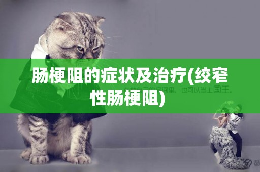 腸梗阻的癥狀及治療(絞窄性腸梗阻) 