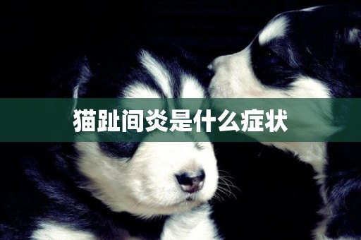 貓趾間炎是什么癥狀