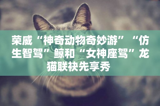 榮威“神奇動物奇妙游”“仿生智駕”鯨和“女神座駕”龍貓聯袂先享秀 