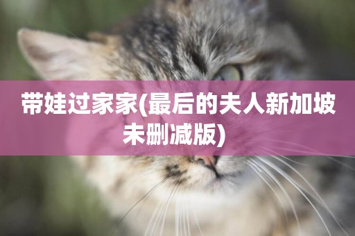 帶娃過家家(最后的夫人新加坡未刪減版) 