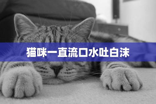 貓咪一直流口水吐白沫